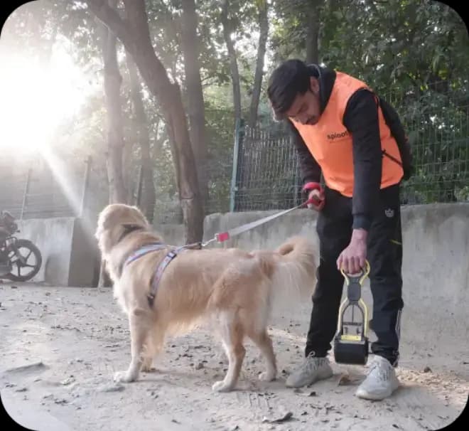 dog walking with a walker and a dog