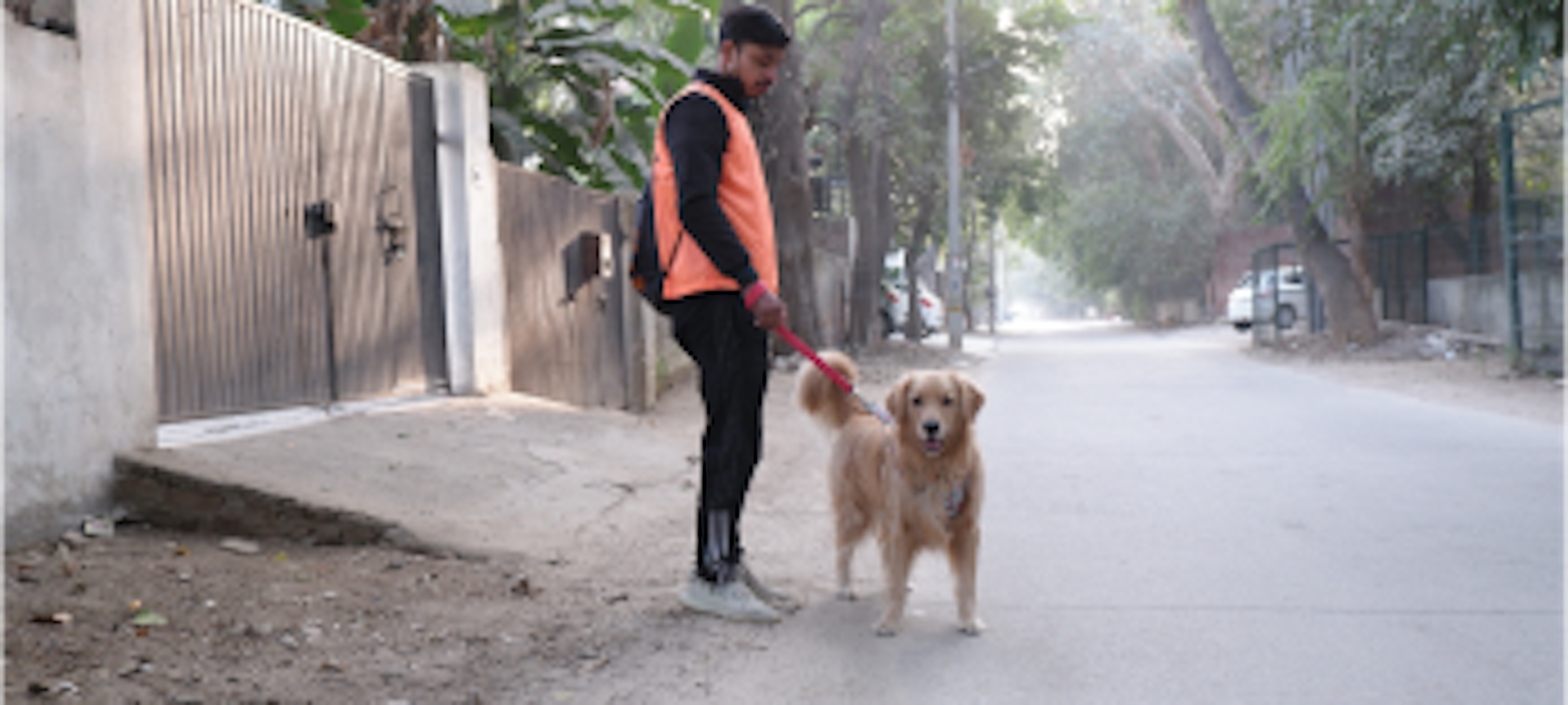 dog walking with a walker and a dog