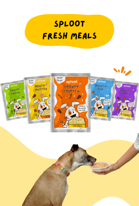 dog-food
