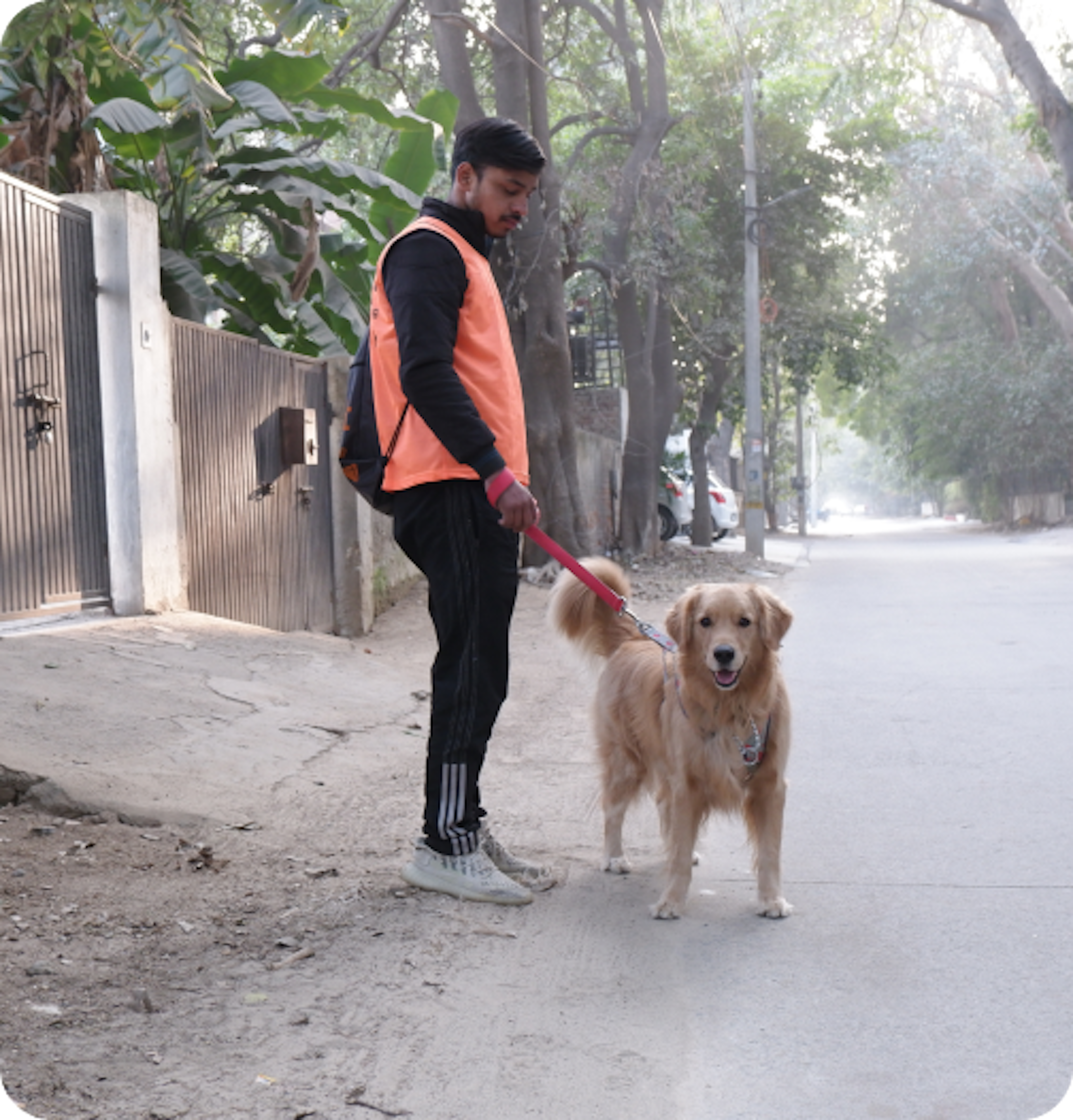 dog walking with a walker and a dog