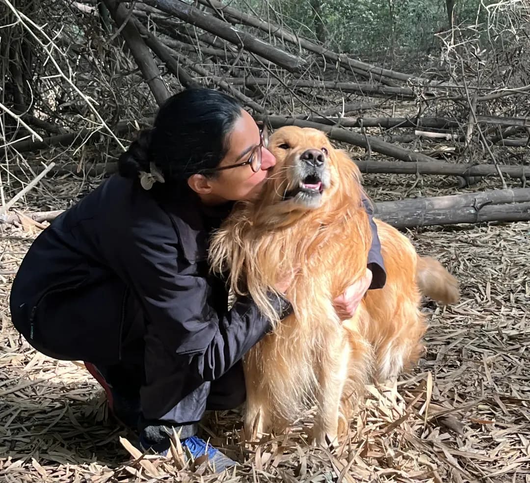 pet on walks with owner