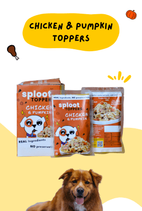 dog-food