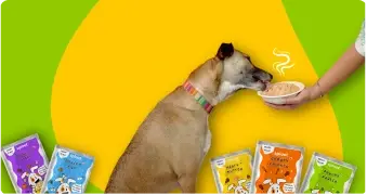 Fresh meals for your dog