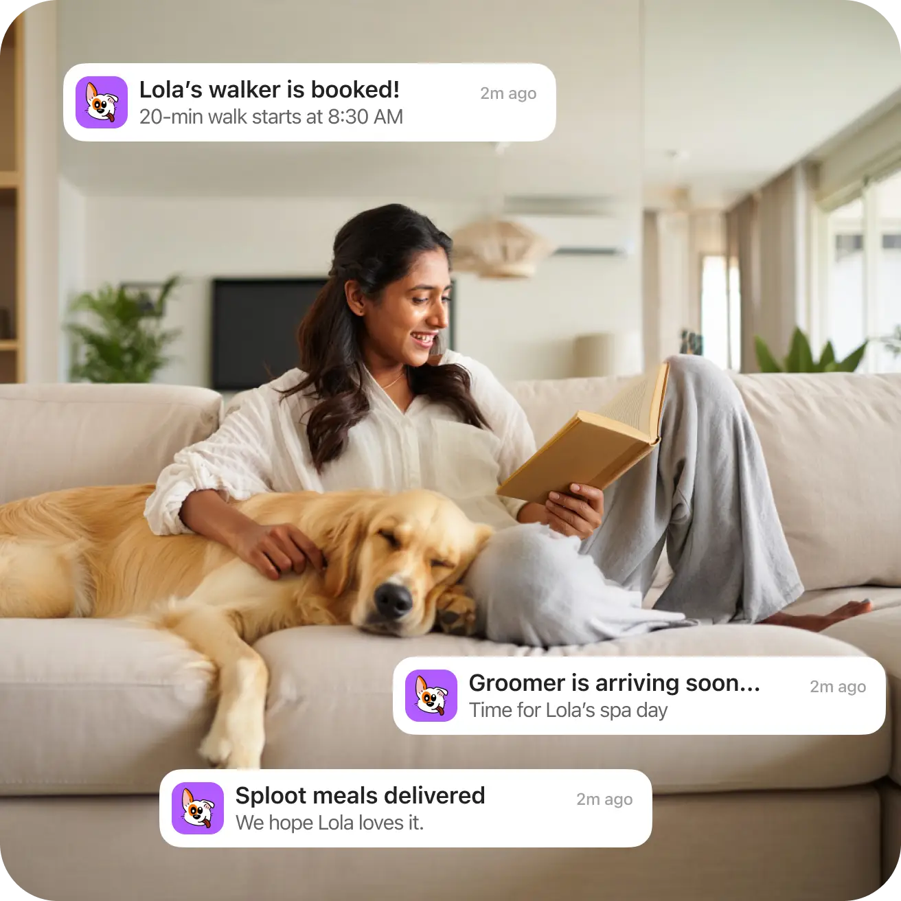 Happy dog with owner demonstrating better dog parenting